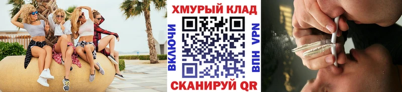ГЕРОИН хмурый  Зерноград 